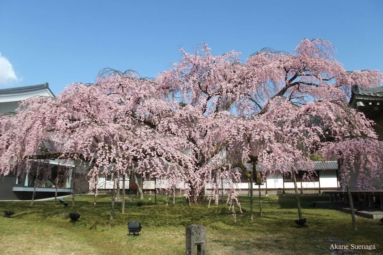 Kyoto Home Tofukuji 0*,